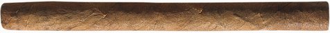 Cohiba Mini 20